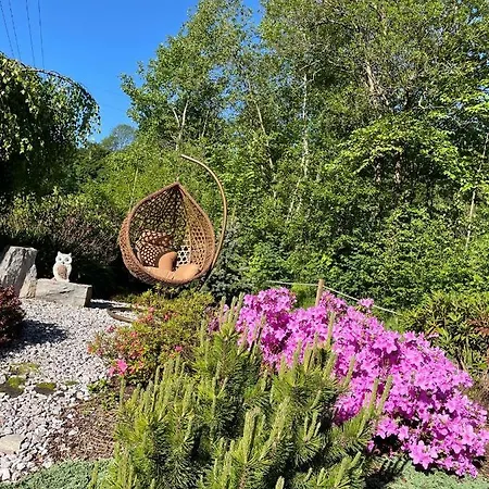 Vila Aja Svoboda nad Úpou Exteriér fotografie